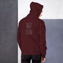 Load image into Gallery viewer, Clockwork Earth - Unisex Hoodie